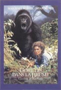 Gorilles dans la Brume